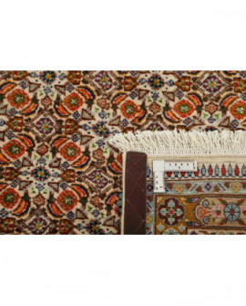 Rytietiškas kilimas Moud Mahi - 353 x 250 cm 