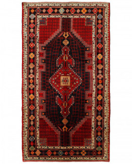 Rytietiškas kilimas Toiserkan - 295 x 160 cm 