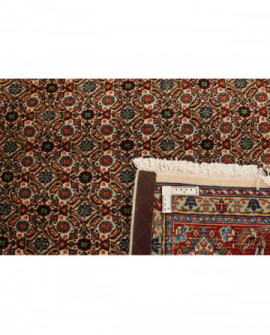 Rytietiškas kilimas Moud Mahi - 238 x 170 cm 