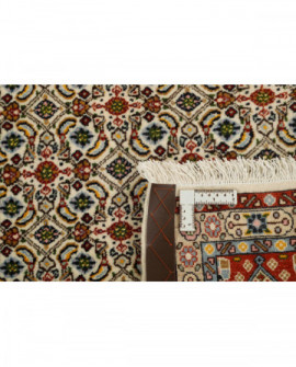 Rytietiškas kilimas Moud Mahi - 233 x 166 cm 